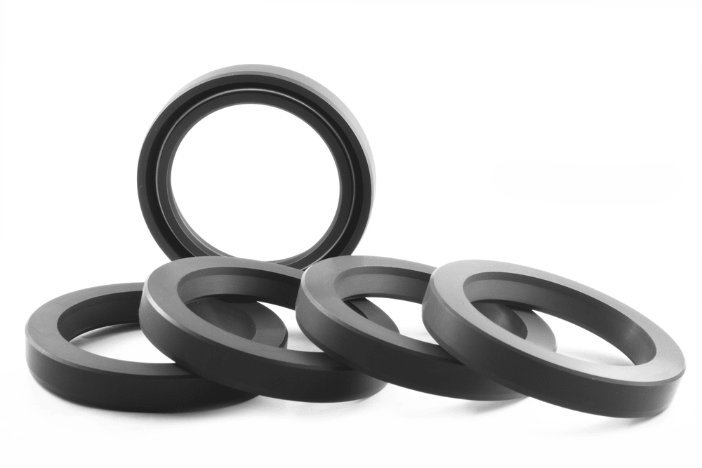 Oil Seals
